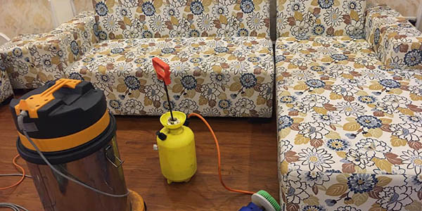 Chất tẩy rửa ghế sofa an toàn